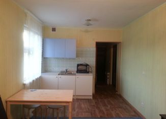 Продам квартиру студию, 26 м2, Новосибирск, Рябиновая улица, Рябиновая улица, 10/1