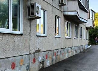 Продам однокомнатную квартиру, 22 м2, деревня Дубрава, Лесная улица, 1