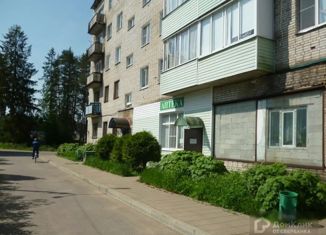 Продается 2-комнатная квартира, 46.8 м2, городской посёлок Свирьстрой, Парковая улица, 15