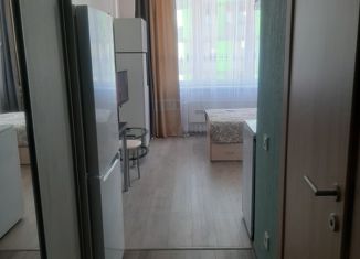 Продаю квартиру студию, 22.6 м2, Москва, Востряковское шоссе, 7с1, метро Озёрная