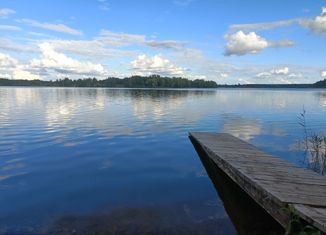 Продается участок, 30 сот., деревня Жуковка, деревня Жуковка, 22