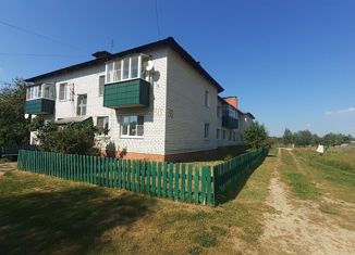Продам 3-ком. квартиру, 62 м2, село Новодмитриевка, Центральный микрорайон, 30