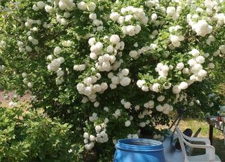 Продается земельный участок, 5.7 сот., СНТ Мирное