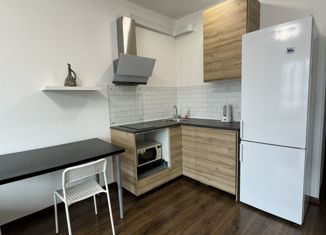 Продажа квартиры студии, 25 м2, Санкт-Петербург, Верхне-Каменская улица, 7к1