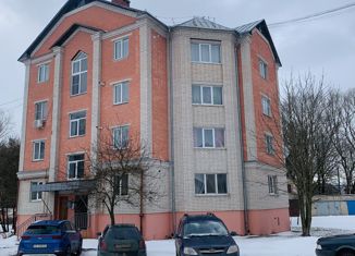 Продам однокомнатную квартиру, 29 м2, поселок городского типа Нарышкино, Садовая улица, 2А