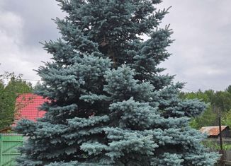 Продам дом, 80 м2, поселок Крутиха, Зелёная улица, 14А