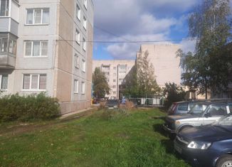Продаю двухкомнатную квартиру, 50.1 м2, Новгородская область, Советская улица, 1