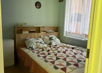 Аренда 2-комнатной квартиры, 30 м2, село Весёлое, Ереванская улица, 3