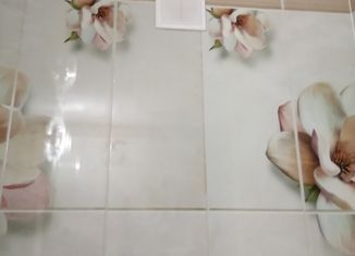 Продаю квартиру студию, 14 м2, Нижний Новгород, улица Дьяконова, 43, улица Дьяконова