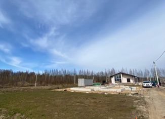 Участок на продажу, 6 сот., деревня Капитолово, деревня Капитолово, 1133