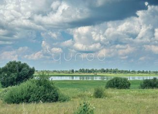 Земельный участок на продажу, 38000 сот., деревня Васильевское