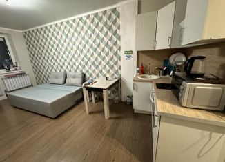 Продается однокомнатная квартира, 30 м2, Ростов-на-Дону, улица Пацаева, 20А, ЖК Звёздный