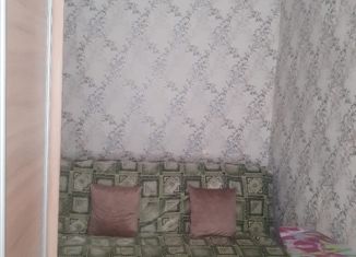 Продам 2-комнатную квартиру, 44 м2, Екатеринбург, улица Мичурина, 54, метро Динамо