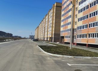 Продаю 2-ком. квартиру, 58 м2, Йошкар-Ола, улица Йывана Кырли, 33, микрорайон Дружный