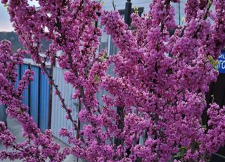 Продам дом, 94 м2, село Нижняя Шиловка, Светогорская улица, 72В/2