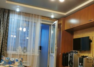 1-ком. квартира на продажу, 32.9 м2, посёлок Северный, проспект Бусыгина, 56