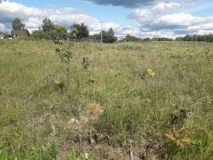 Продам участок, 15 сот., деревня Полбино