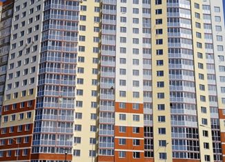 Продается квартира студия, 36.9 м2, село Засечное, ЖК Петровский Квартал, Олимпийская улица, 5