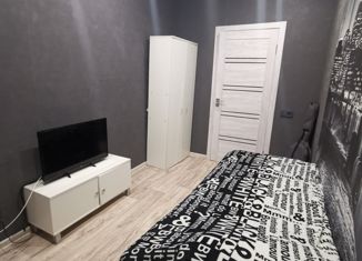 Продам 2-ком. квартиру, 40.3 м2, село Пестрецы, улица Мелиораторов, 4