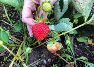 Продам участок, 7 сот., садовые участки, улица Владимира Кузнецова