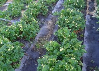 Продаю дом, 52 м2, Стерлитамак, 18-й проезд