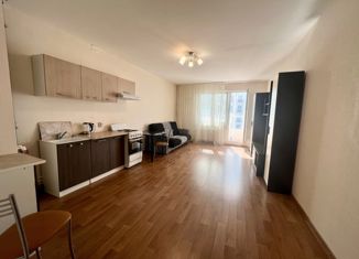 Продам квартиру студию, 32.9 м2, Санкт-Петербург, Кушелевская дорога, 3к13, Кушелевская дорога