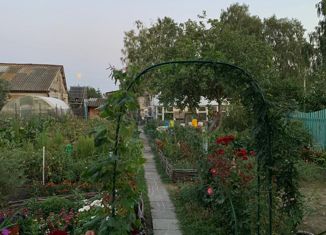 Продаю дом, 74 м2, посёлок Дубровка, Дубровский переулок, 17