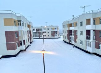 Продается 2-комнатная квартира, 53.4 м2, сельский посёлок Новинки, Новая улица, 206, ЖК Окский Берег