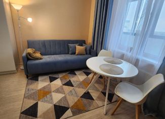 Продаю квартиру студию, 24 м2, поселение Десёновское, 3-я Нововатутинская улица, 11