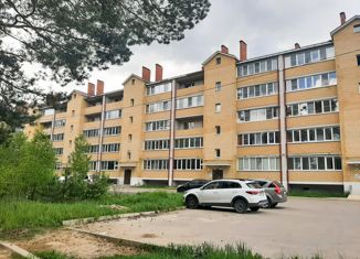 Продажа 2-комнатной квартиры, 53 м2, Владимирская область, Новосемёнковская улица, 31