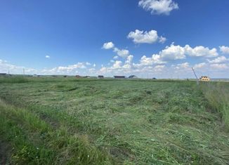 Продаю земельный участок, 14 сот., село Бакалы, Рябиновая улица