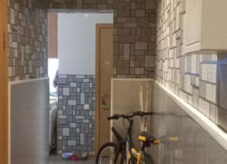 Продаю двухкомнатную квартиру, 50.5 м2, Красноярск, улица Пирогова, 9А, Октябрьский район