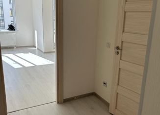 Продаю квартиру студию, 27.8 м2, Санкт-Петербург, проспект Будённого, 23к2, Красносельский район