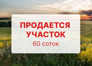 Продам земельный участок, 60 сот., село Порой, улица Кочетовка