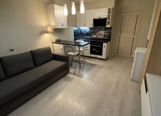 Продаю квартиру студию, 24.7 м2, деревня Куттузи, Уланская улица, 3