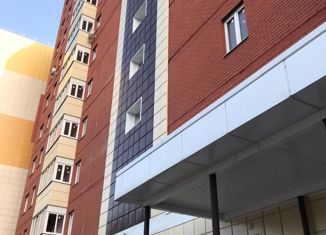 Продажа однокомнатной квартиры, 44 м2, Строитель, Октябрьская улица, 19