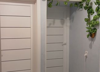 Продам однокомнатную квартиру, 31.3 м2, посёлок Строитель, микрорайон Южный, 14