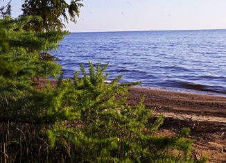 Продам участок, 10 сот., деревня Лаптовицы