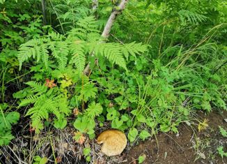 Земельный участок на продажу, 13 сот., Елизово