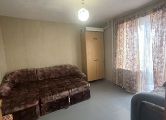 1-комнатная квартира в аренду, 28.5 м2, Новгородская область, улица Труда, 54