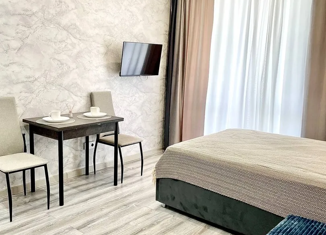 Продажа квартиры студии, 30 м2, Сочи, ЖК Флора, улица Искры, 66/9к1