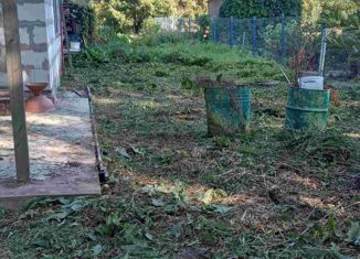 Продается дом, 48 м2, деревня Пасынково