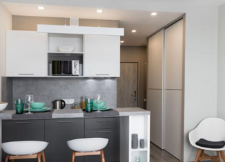 Продажа квартиры студии, 25.2 м2, Санкт-Петербург, Витебский проспект, 99к1, метро Купчино