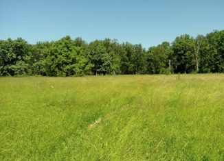 Продам участок, 20.3 сот., деревня Следово, Первомайская улица