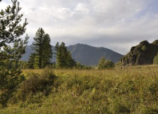 Земельный участок на продажу, 20 сот., село Толгоек