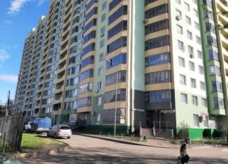 Продается квартира студия, 27.1 м2, деревня Марушкино, Агрохимическая улица, 3