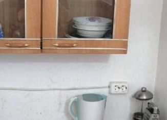 2-комнатная квартира в аренду, 30 м2, село Весёлое, Петропавловская улица, 3