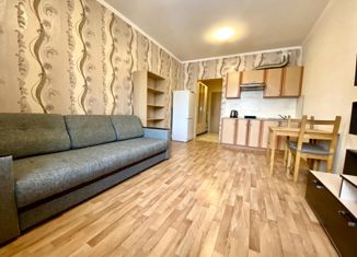 Продается квартира студия, 30 м2, Санкт-Петербург, проспект Кузнецова, 14к2, проспект Кузнецова