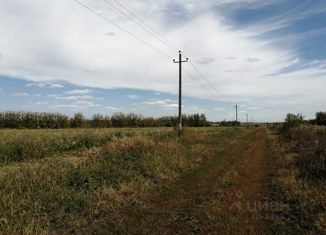 Земельный участок на продажу, 697 сот., деревня Озерки, Центральная улица