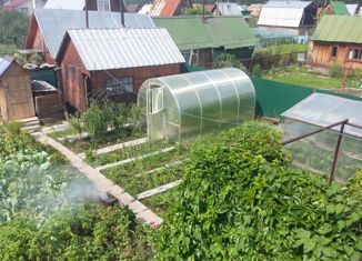 Продам дом, 36 м2, СНТ Таёжный, СНТ Таёжный, 79